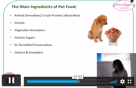 Dog Care and Pet Nutrition Course | Janets